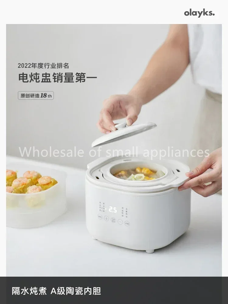 220V Small Electric Cooker, Ba - đánh giá và giá Baby Food Usa