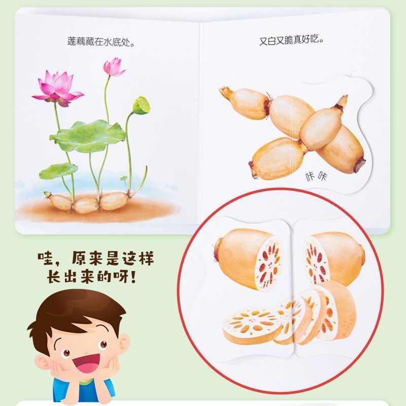 Infant Food Education Flipbook - đánh giá và giá Baby Food Age