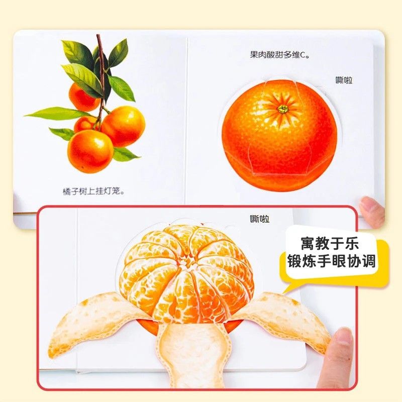 Infant Food Education Flipbook - đánh giá và giá Baby Food Age